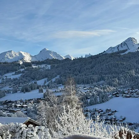 Mountain Vue Imprenable * Les Gets