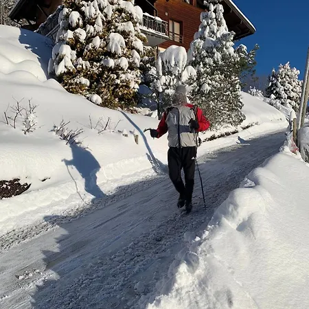 Mountain Vue Imprenable Appartement