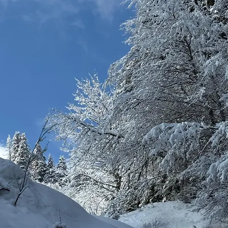 Mountain Vue Imprenable Appartement *